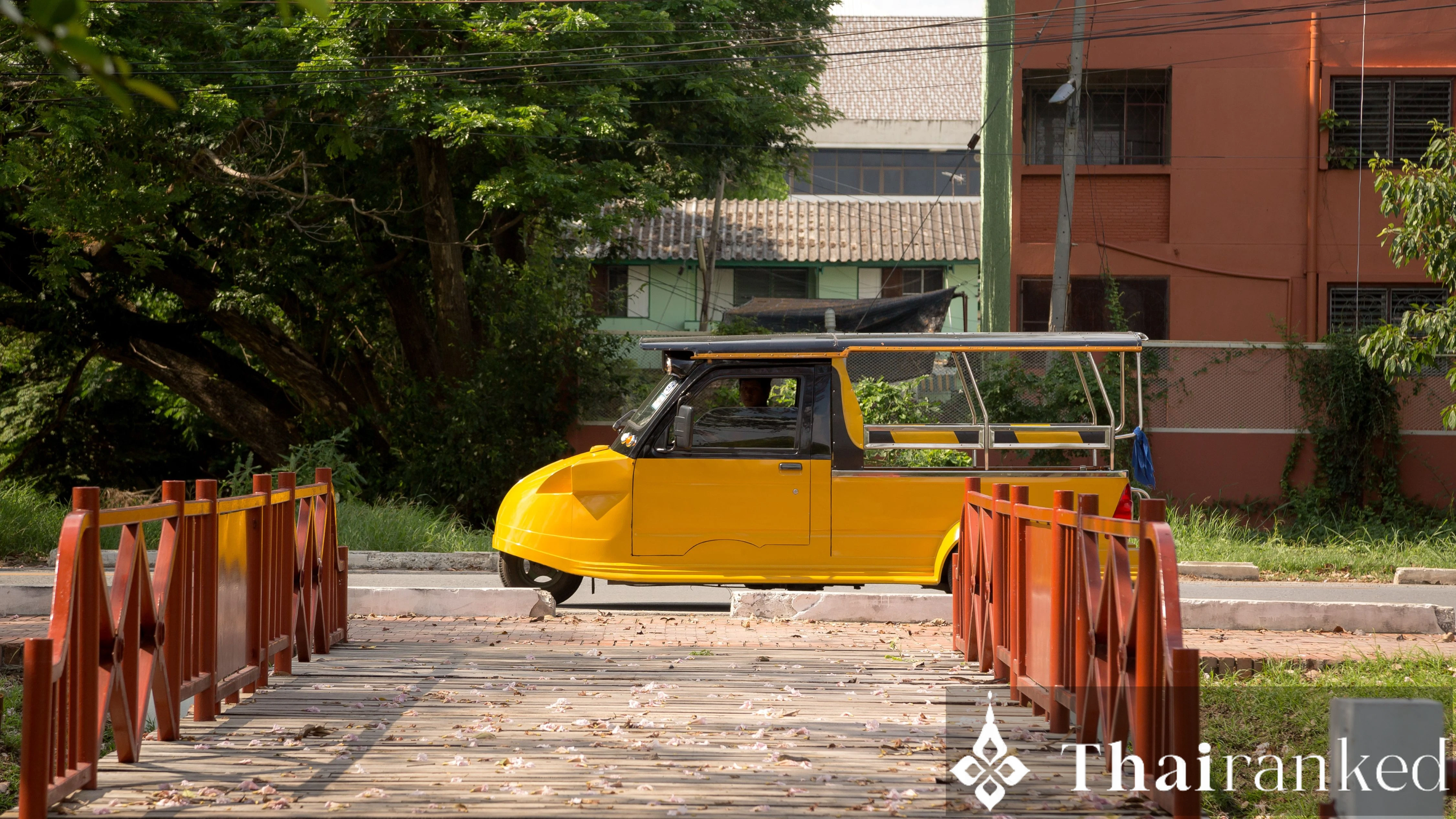 The "Frog Head" Tuk Tuk: Exploring Trang City in Style