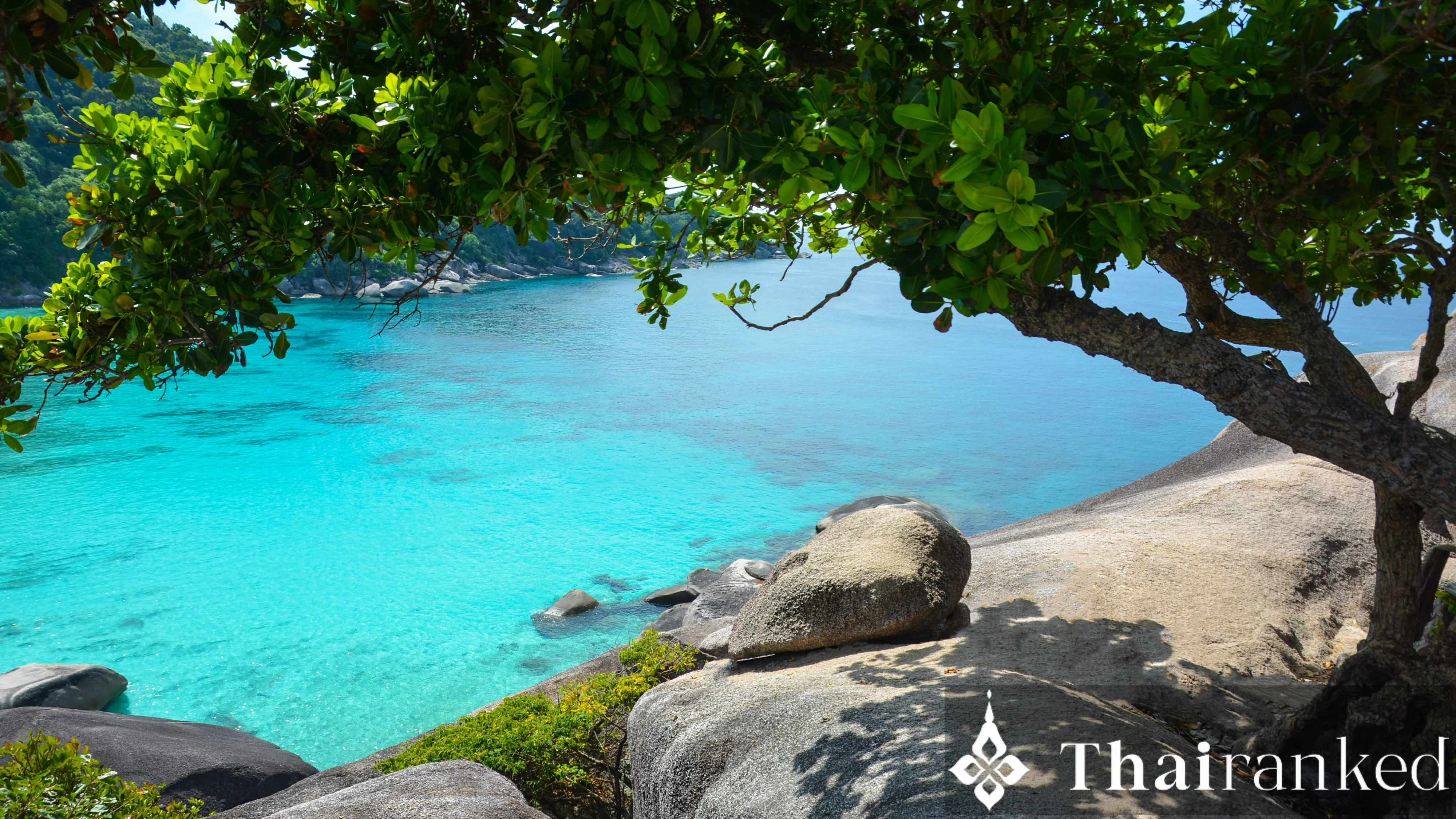 Similan Islands Are Open! Why January is the Best Month to Visit