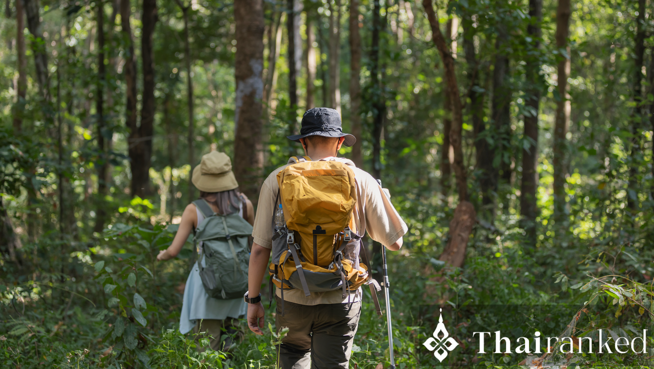 メー・ホン・ソン & チェンライのジャングルトレッキング