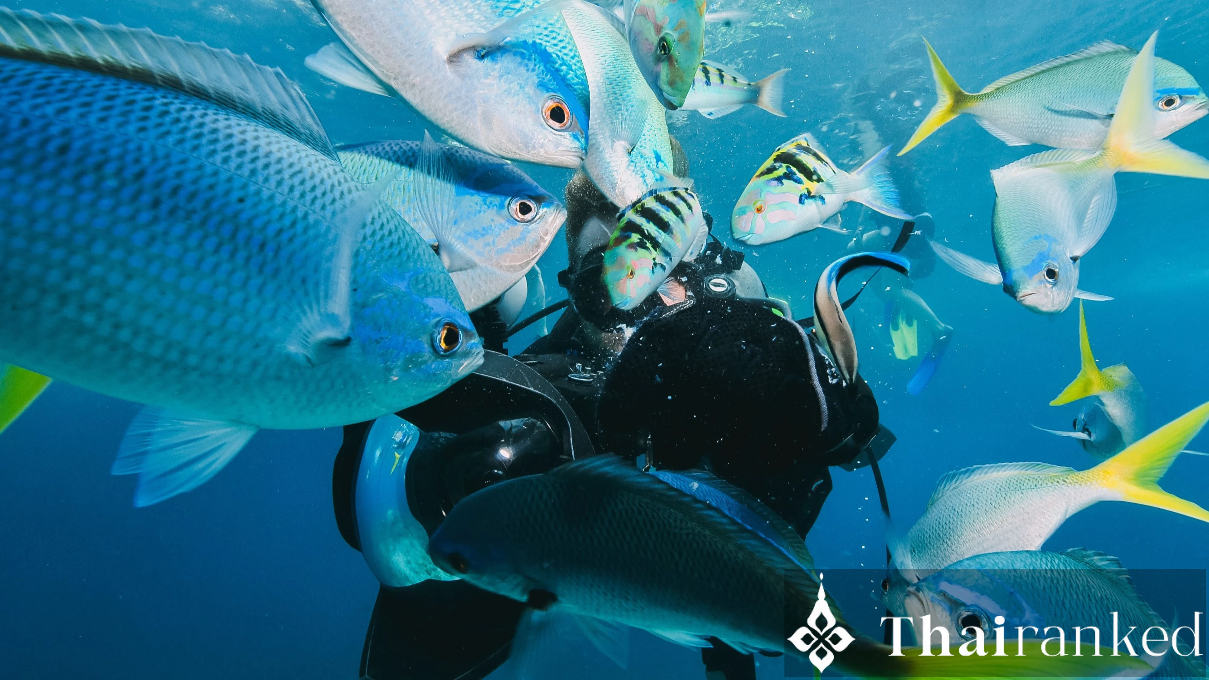 Boonsung Wreck (Khao Lak)