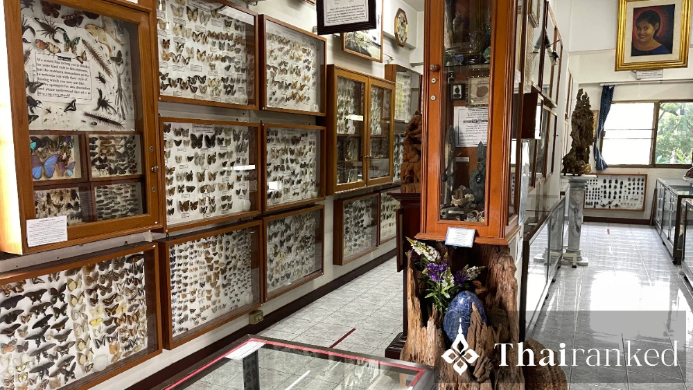 Museum of World Insects and Natural Wonders