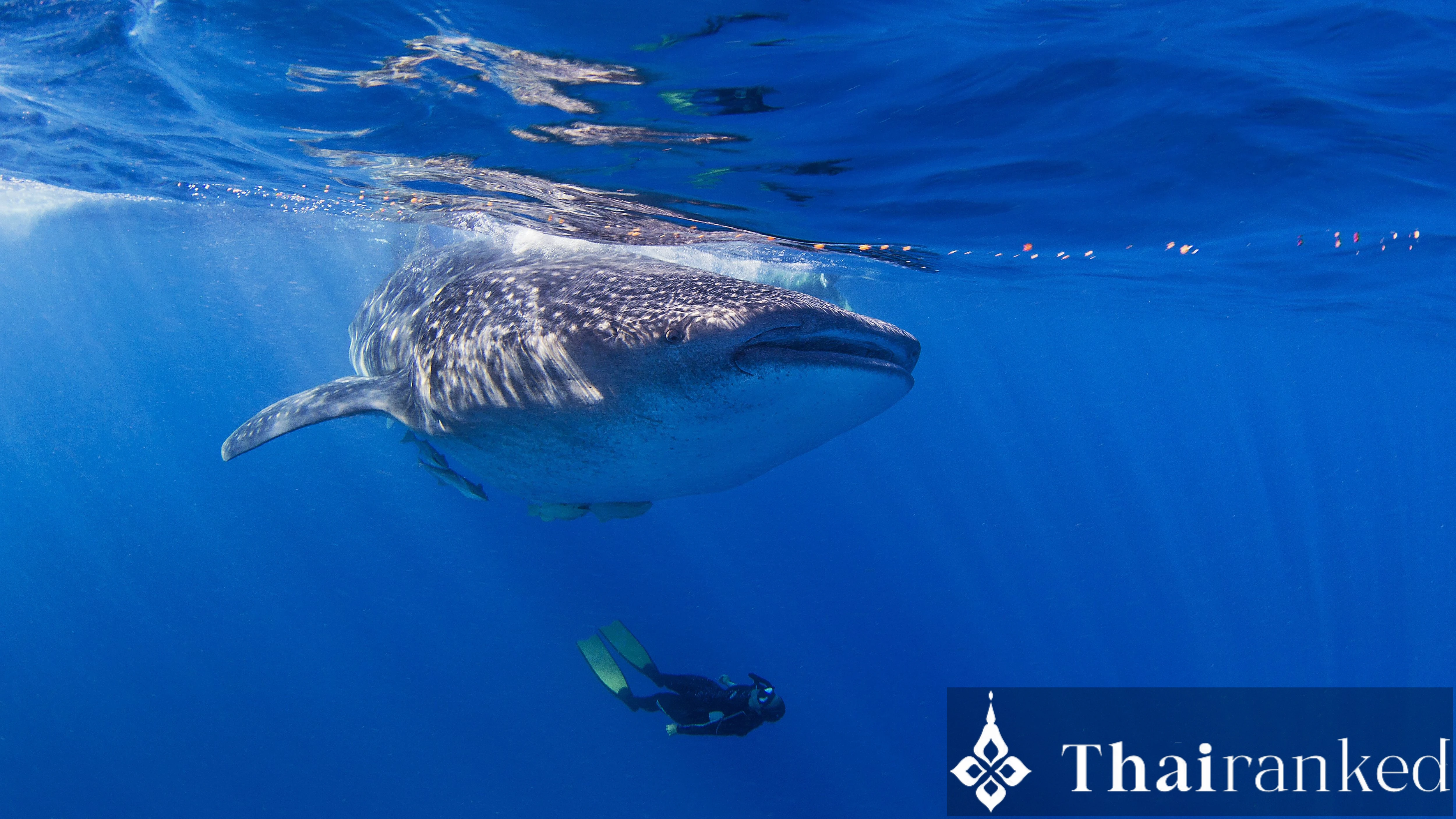 Sail Rock (Gulf of Thailand)