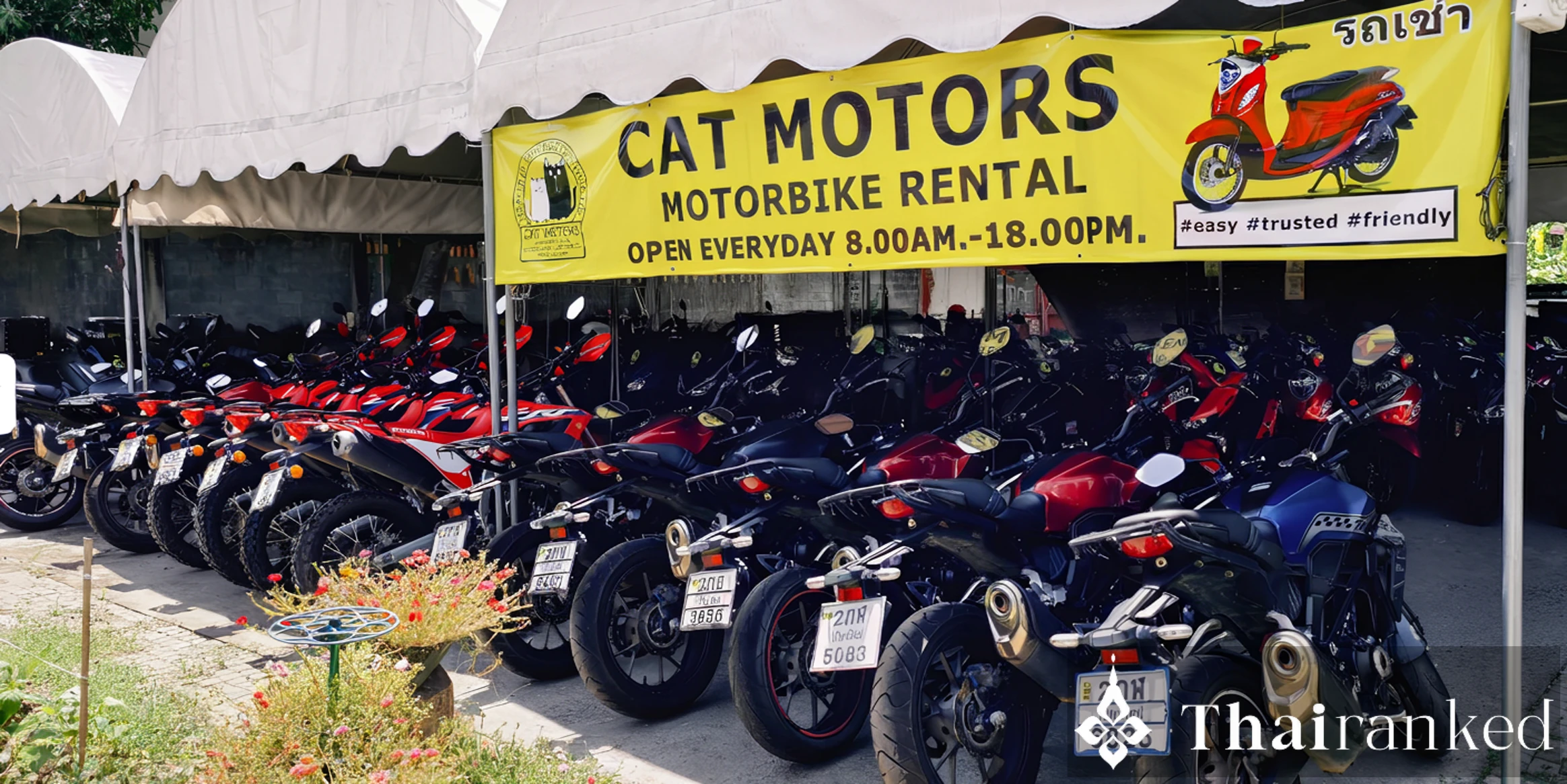 Cat Motors