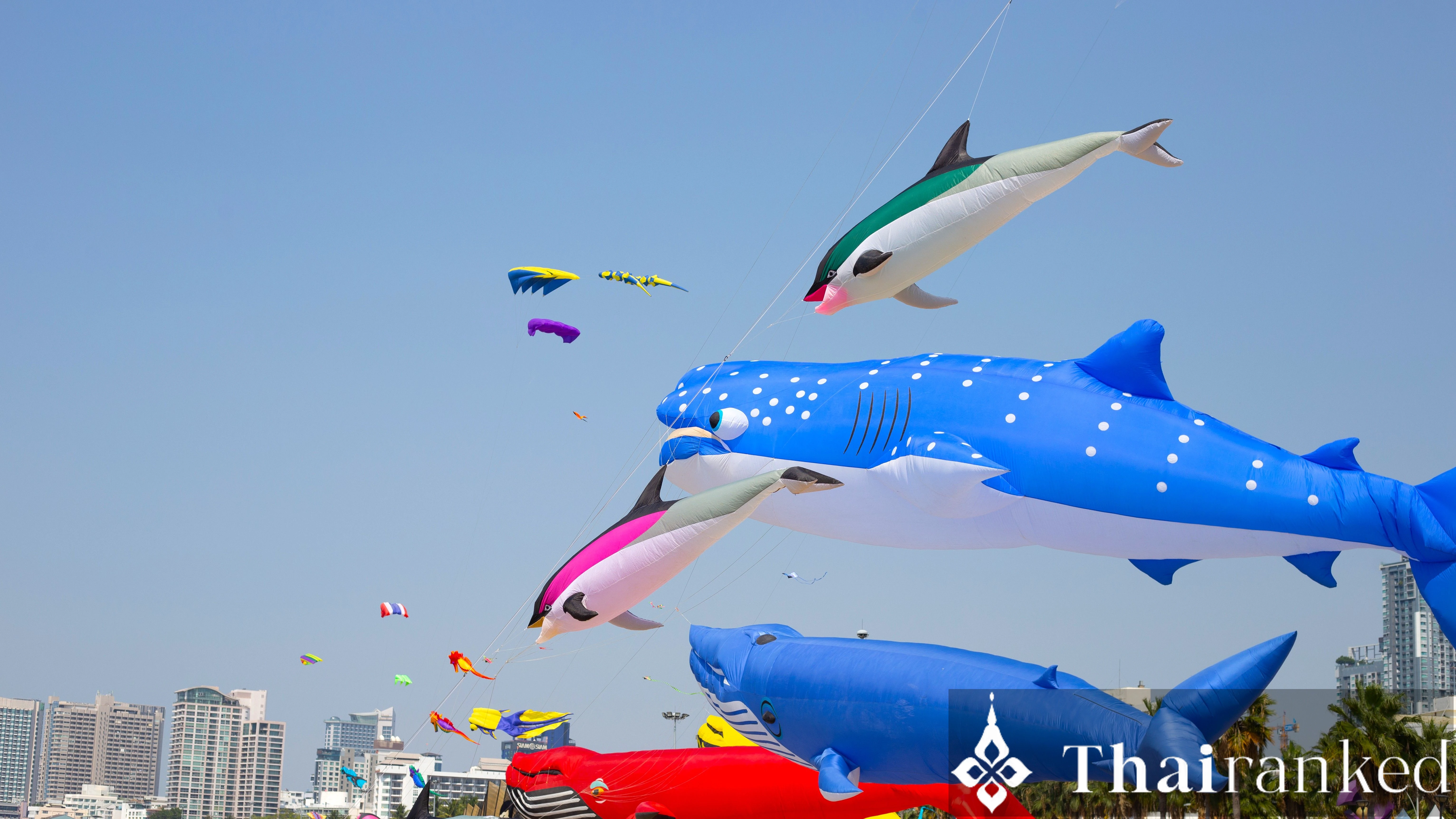 Pattaya International Kite Festival 2026: Thailand’s Longest Kite Parade