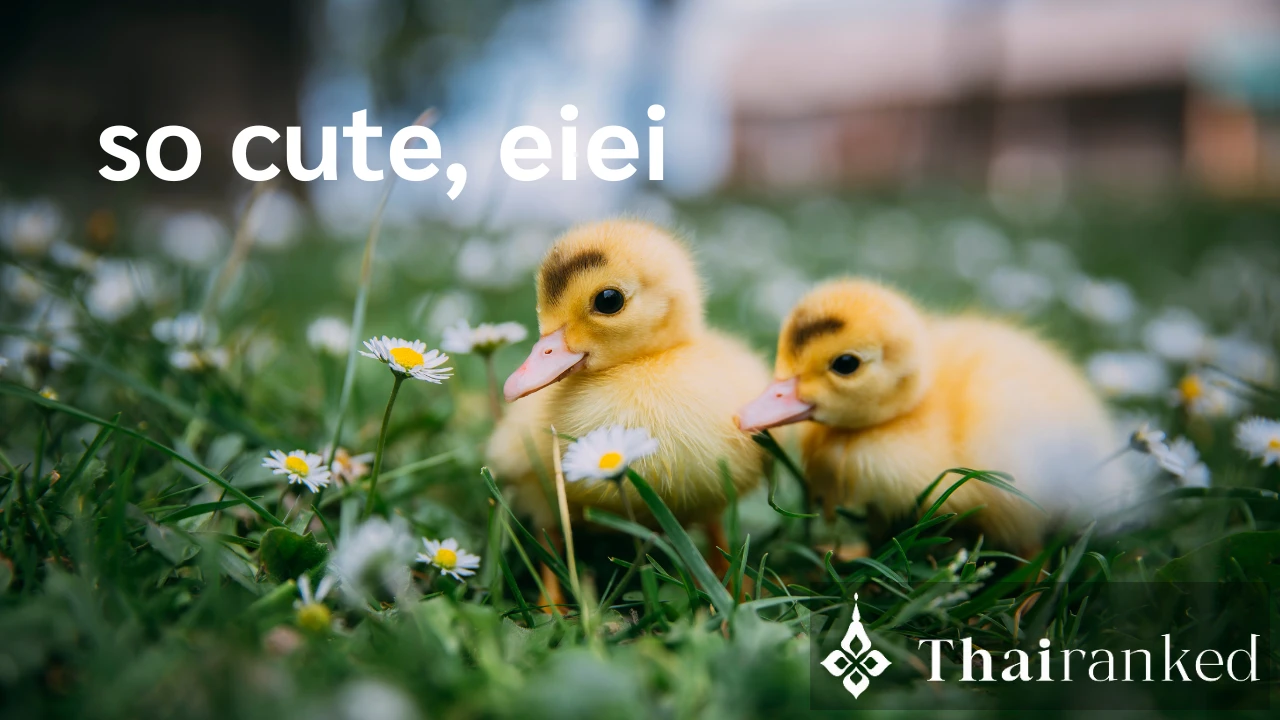 Eiei (อิอิ)