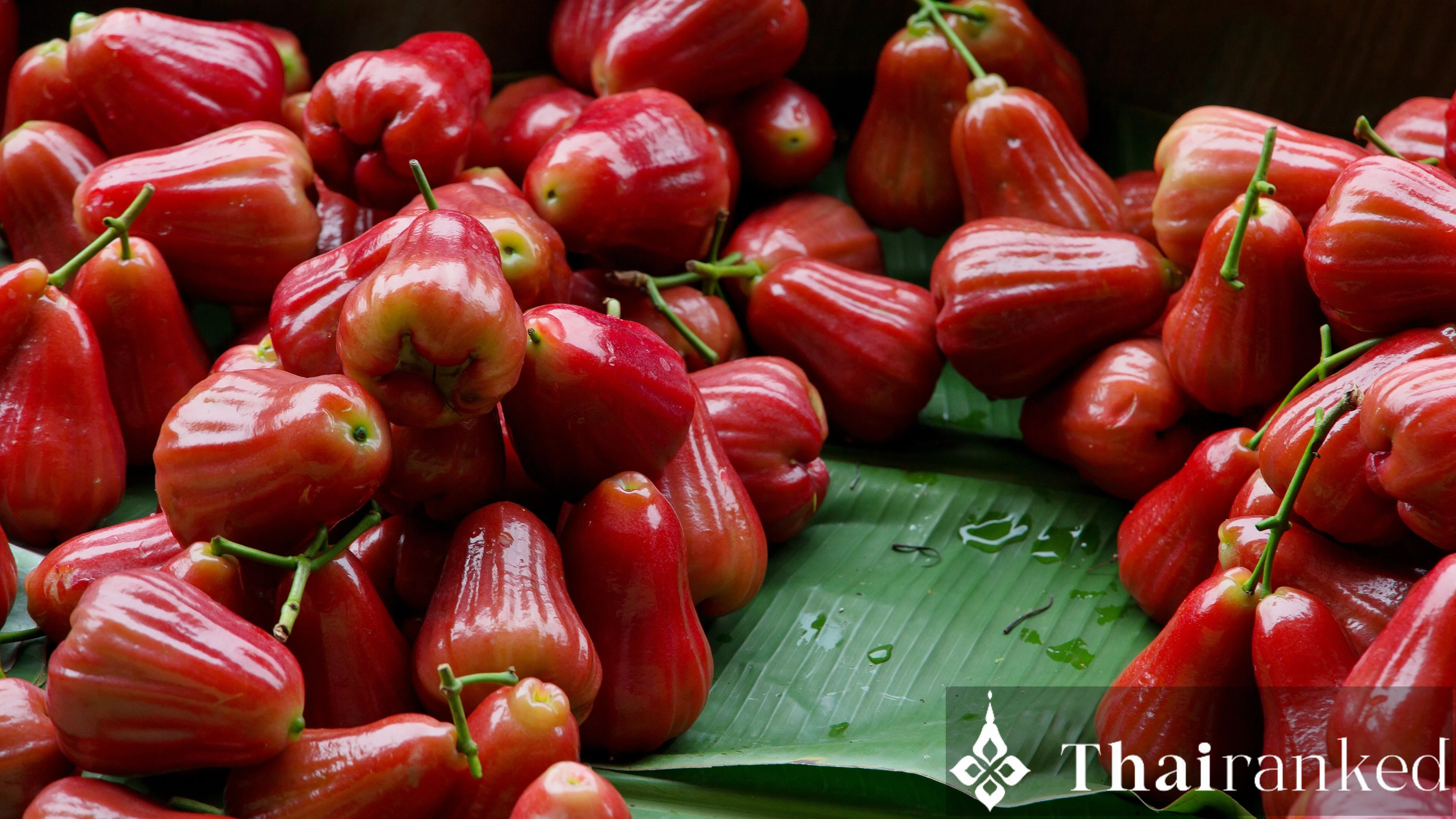 Rose Apple (Chomphu)