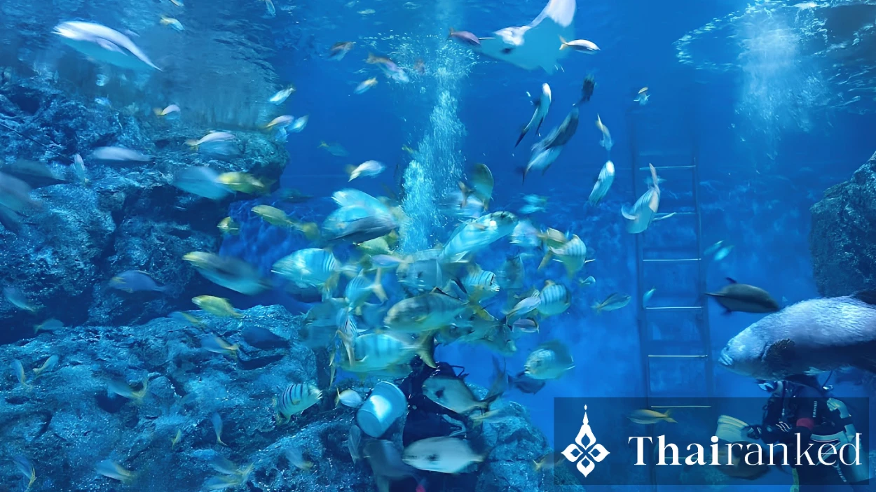 SEA LIFE Bangkok Ocean World (Siam Paragon)