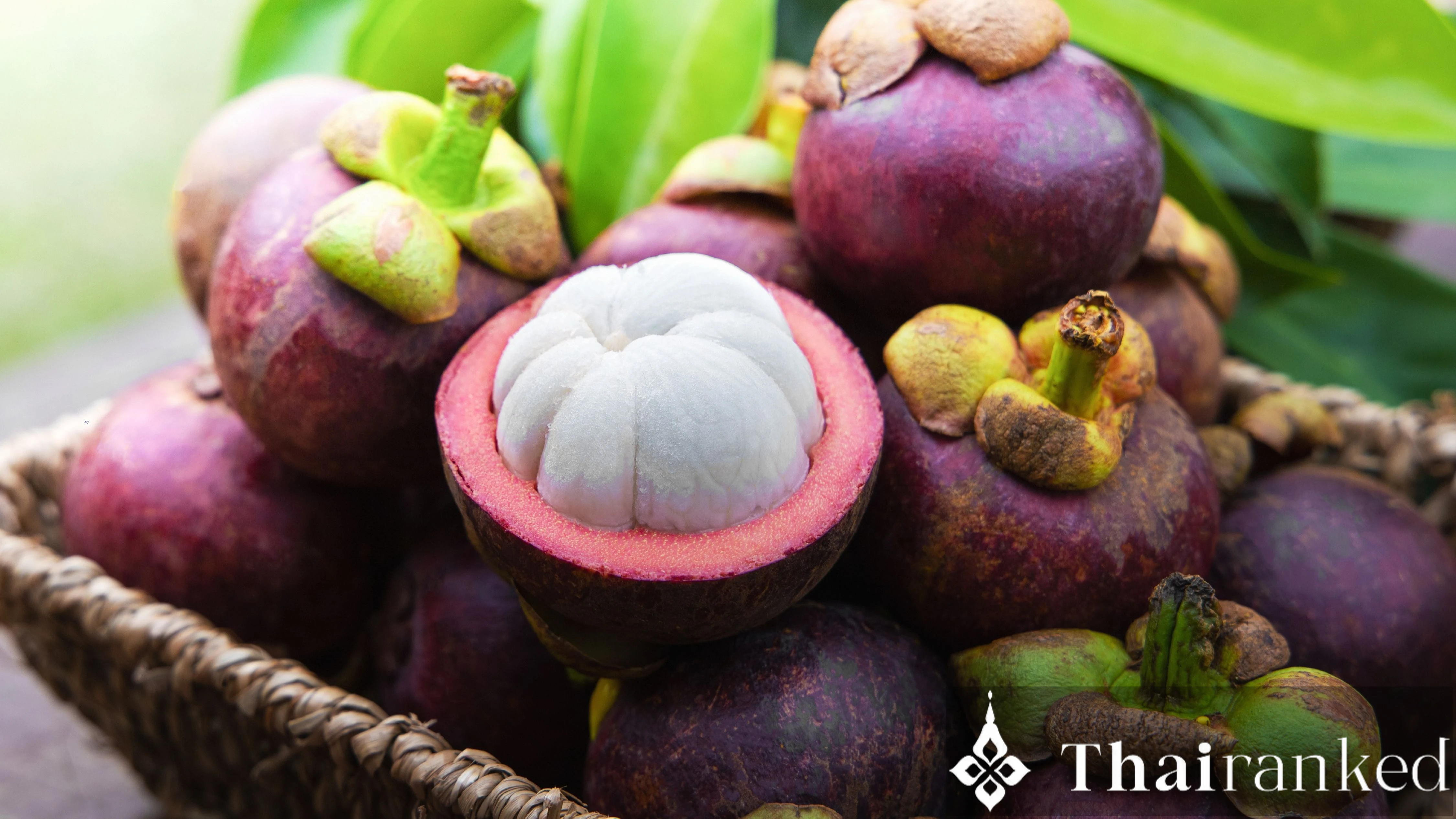 Mangosteen