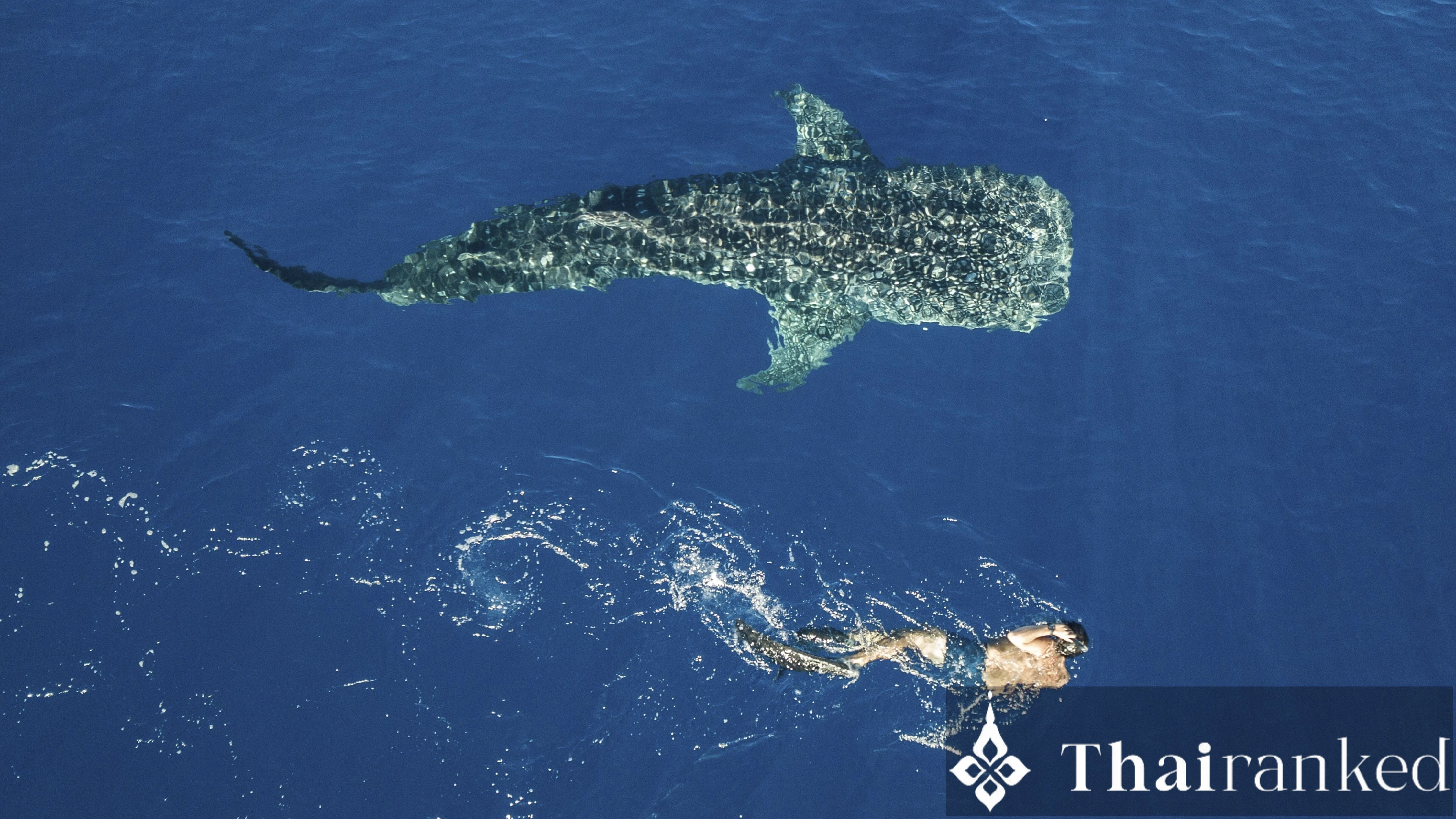 Similan Islands (Elephant Head & Beyond)