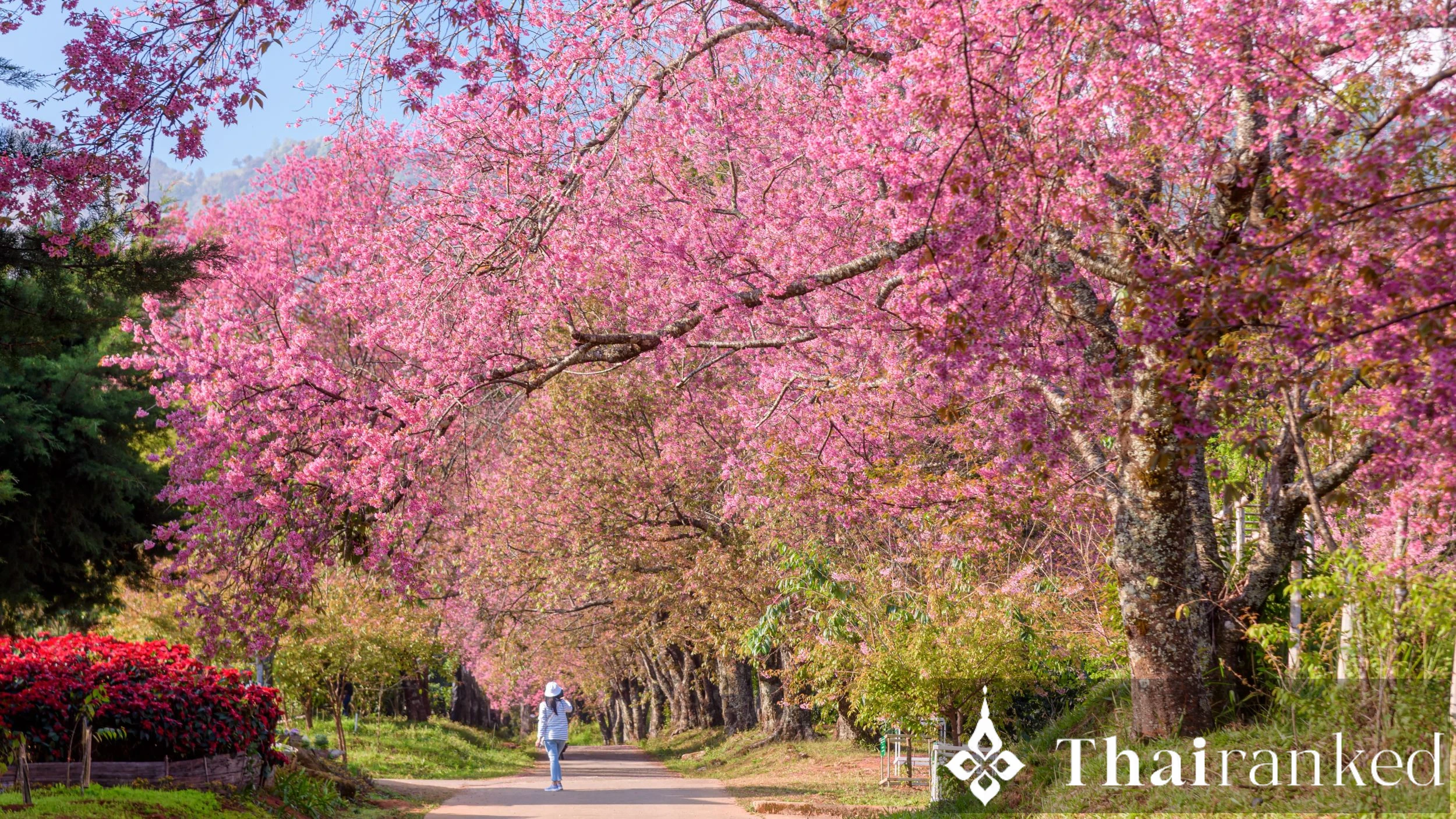 Khun Wang Royal Agricultural Research Center