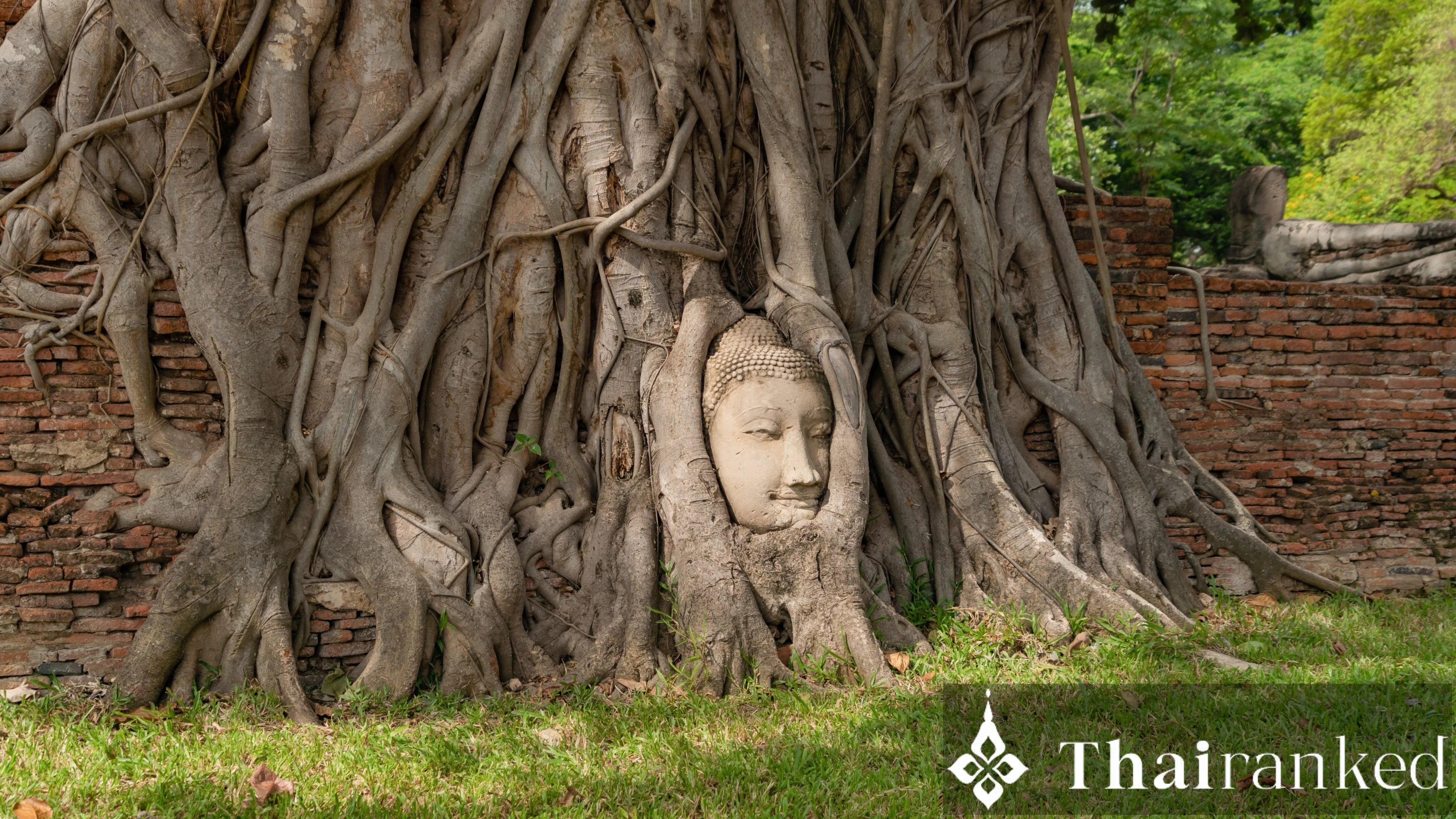 Ayutthaya’s Buddha Head in the Tree