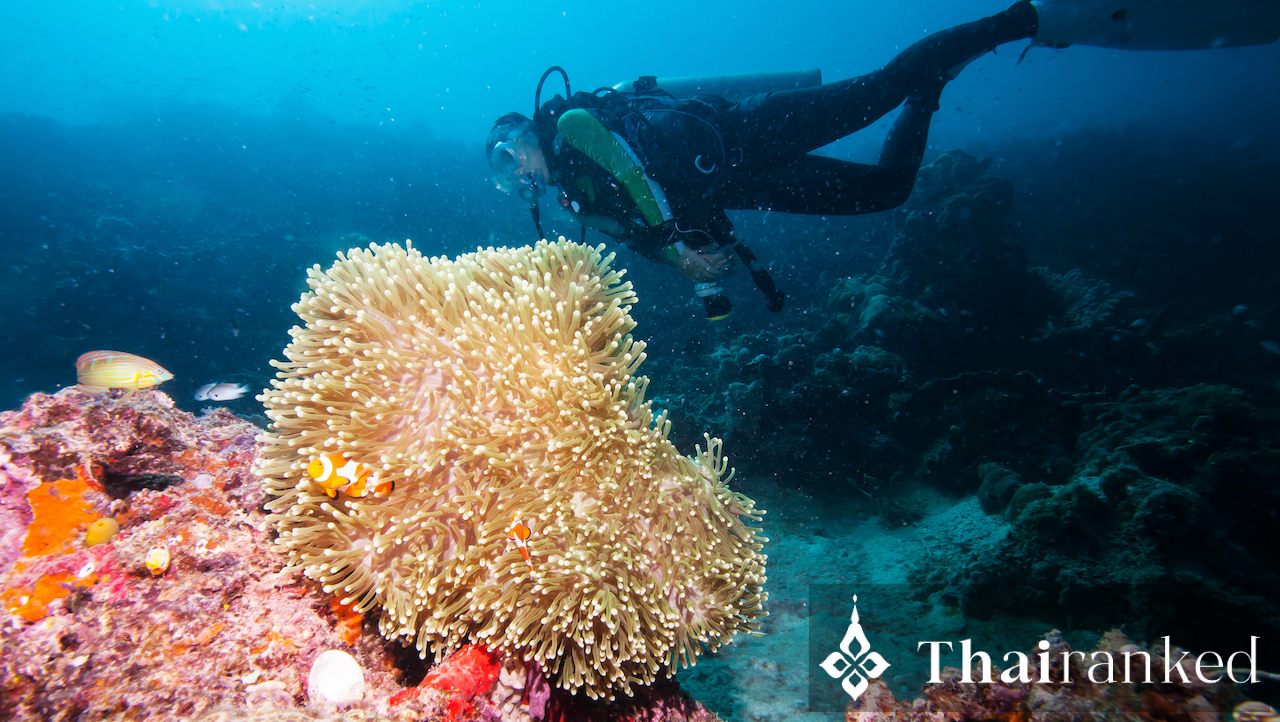 シミラン諸島とスリン諸島のスキューバダイビング