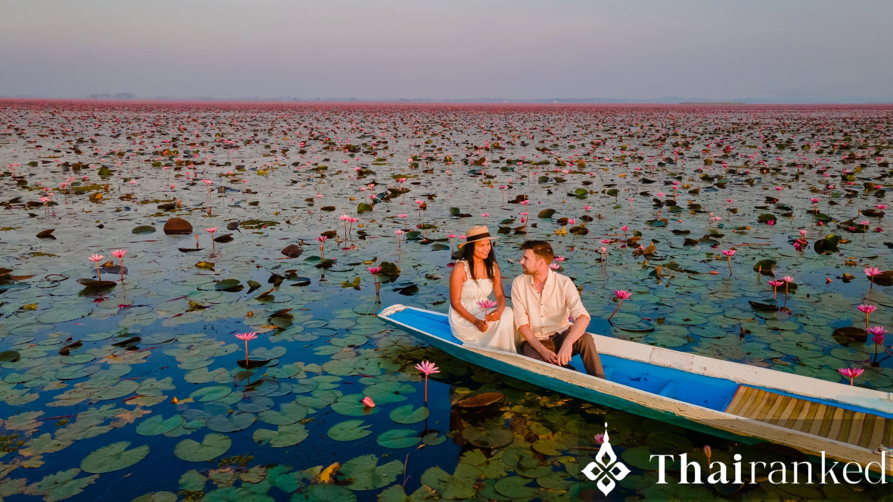 रेड लोटस सी (उडोन थानी): उनके मुरझाने से पहले अंतिम कॉल