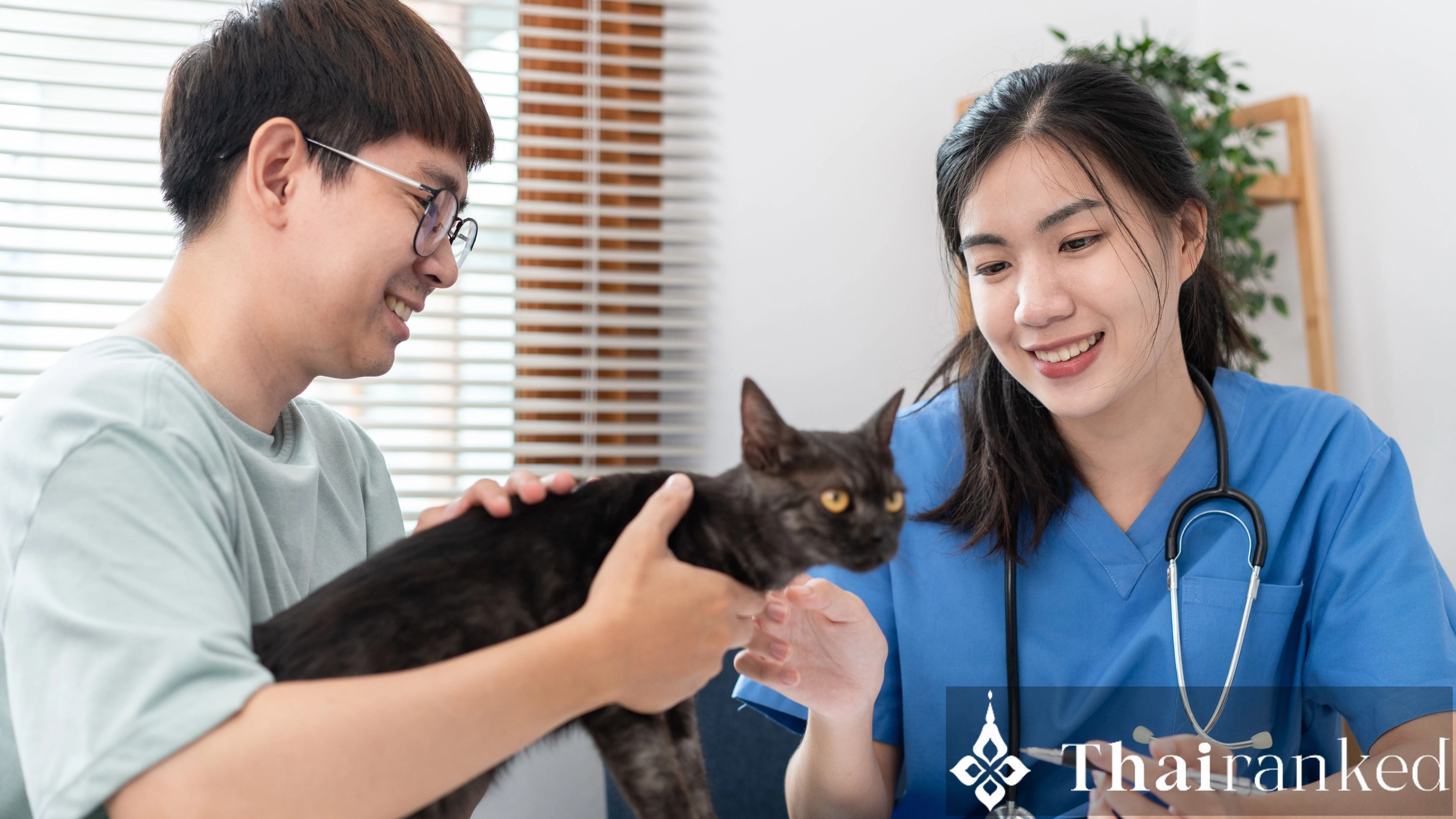 Navigating Veterinary Care in Thailand