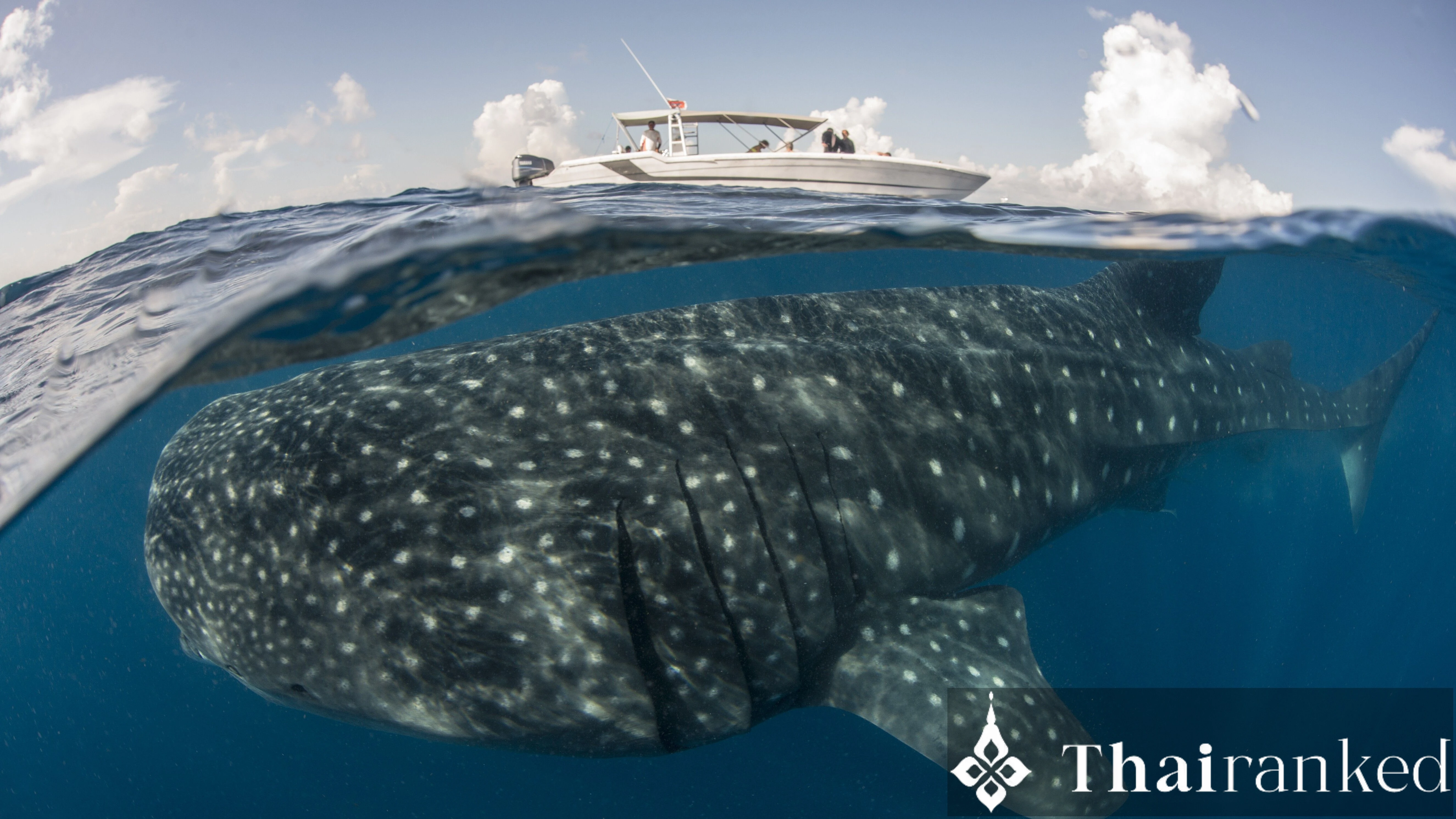 Surin Islands (Torinla & Chong Kaad)