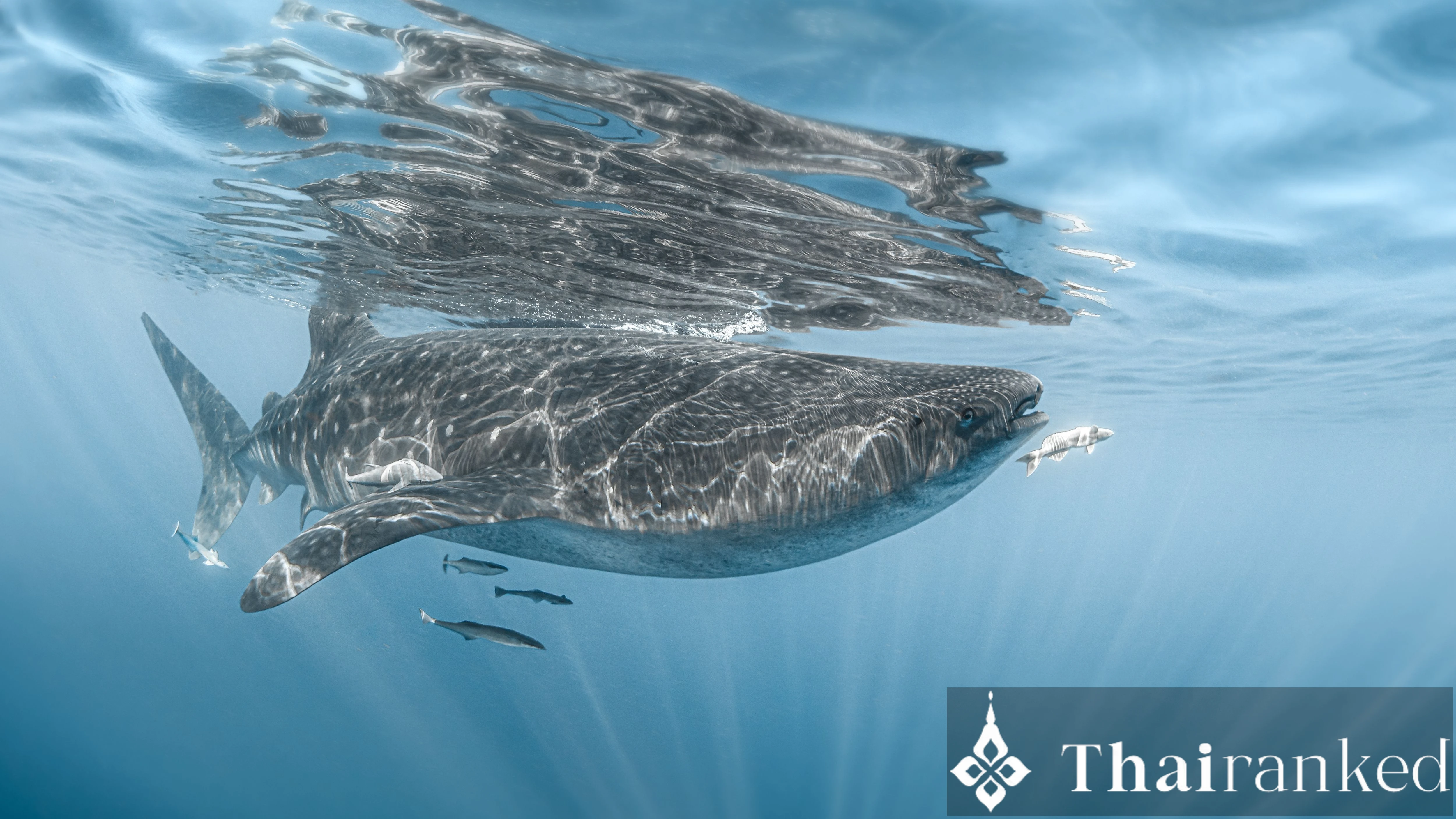 Koh Haa (Lagoon & Cathedral)