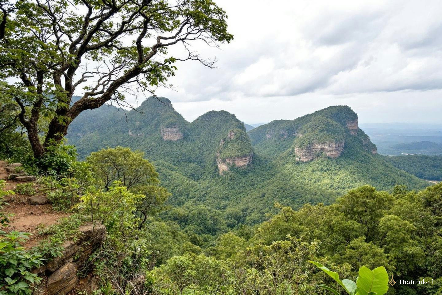 Khao Yai National Park (Pak Chong)