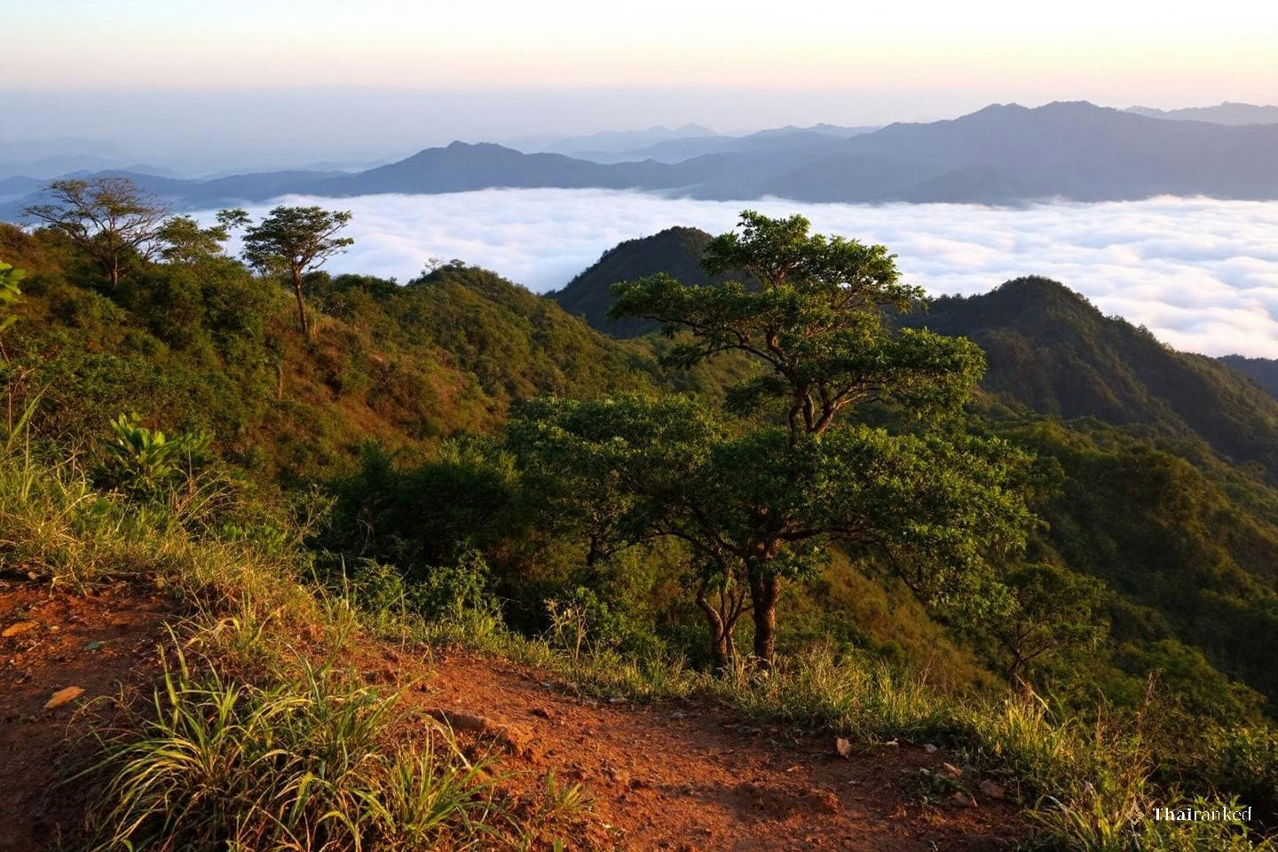 Phu Chi Fa (Chiang Rai)