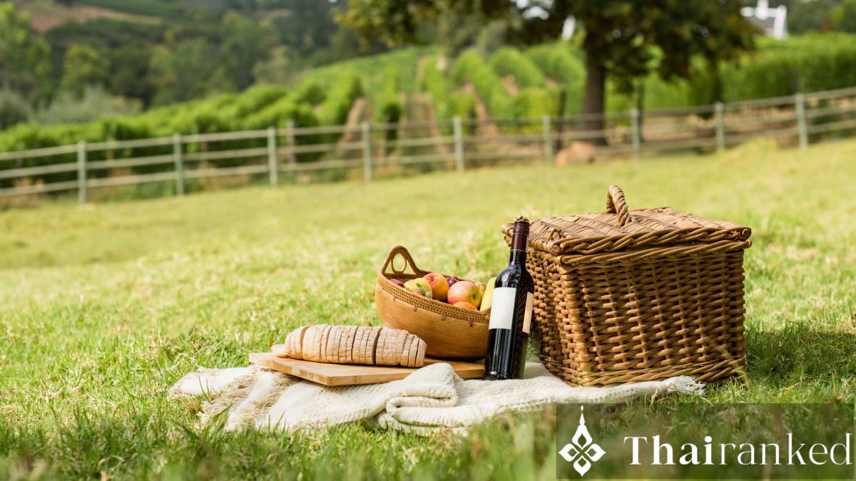 Khao Yai Vineyard Picnic & Wine Tasting