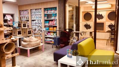 โรงพยาบาลสัตว์ทองหล่อ, สุขุมวิท 55