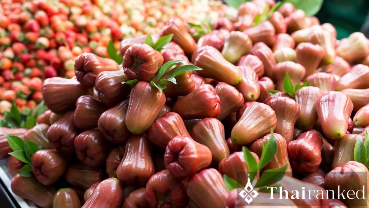 Rose Apple (Chomphu)