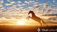 Lucky Charms for the Year of the Horse 2026: Jade, Amulets & Thai Beliefs