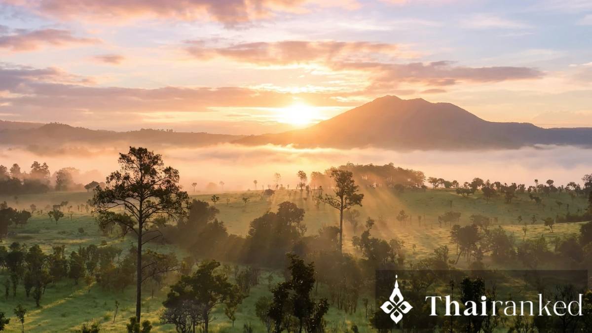 Thung Salaeng Luang National Park (Phitsanulok/Phetchabun)