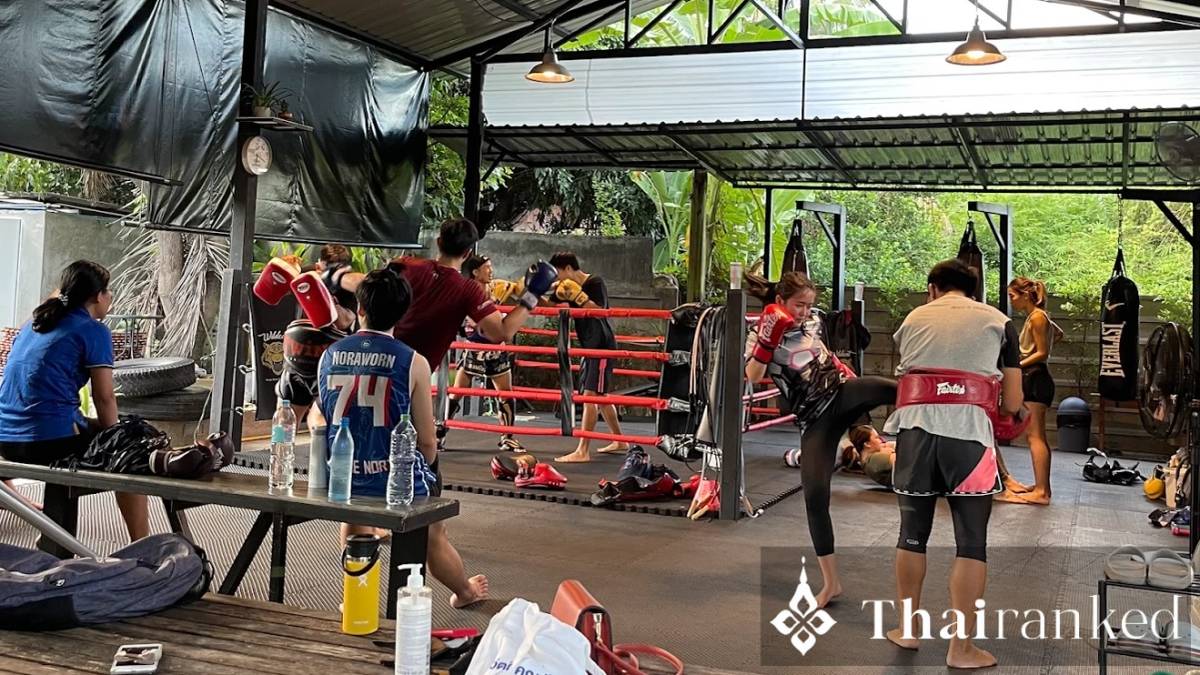 Wildcat Muay Thai