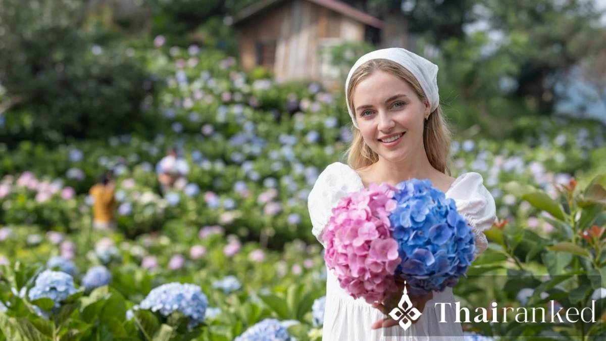 Chiang Mai Flower Festival 2026 Guide: Parade, Photo Spots & Tips - thumbnail
