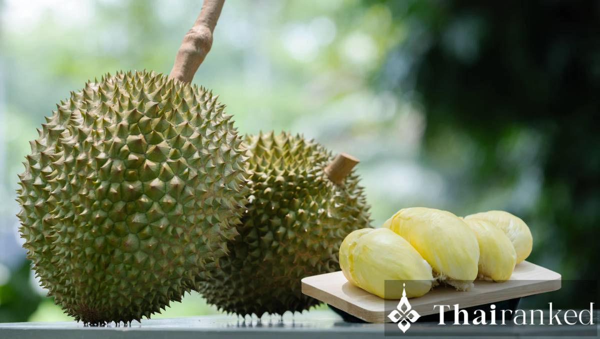Durian (Monthong, Chanee, Kanyao)