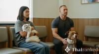 Bangkok Pet Registration & Microchip Law 2026: What Owners Must Know
