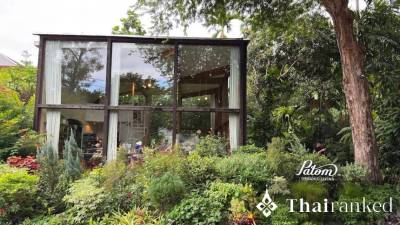 Patom Organic Living