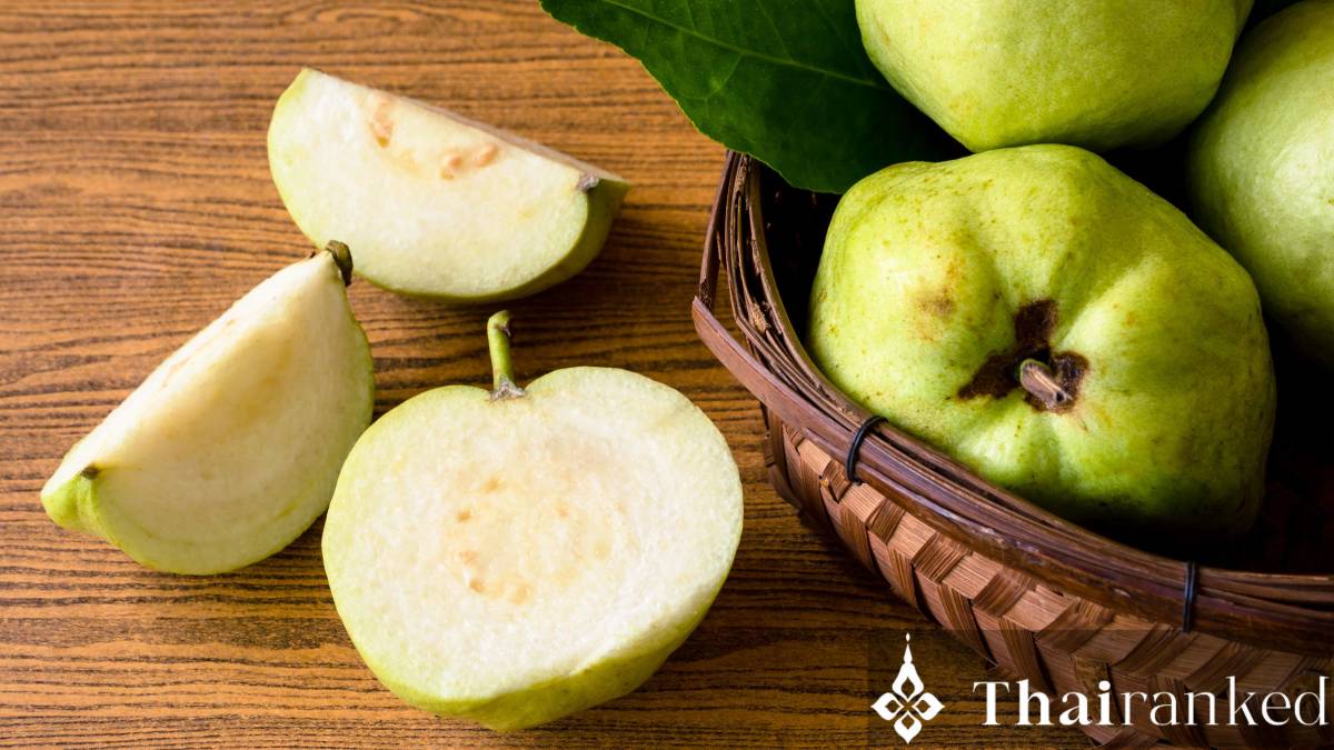 Guava (Farang)