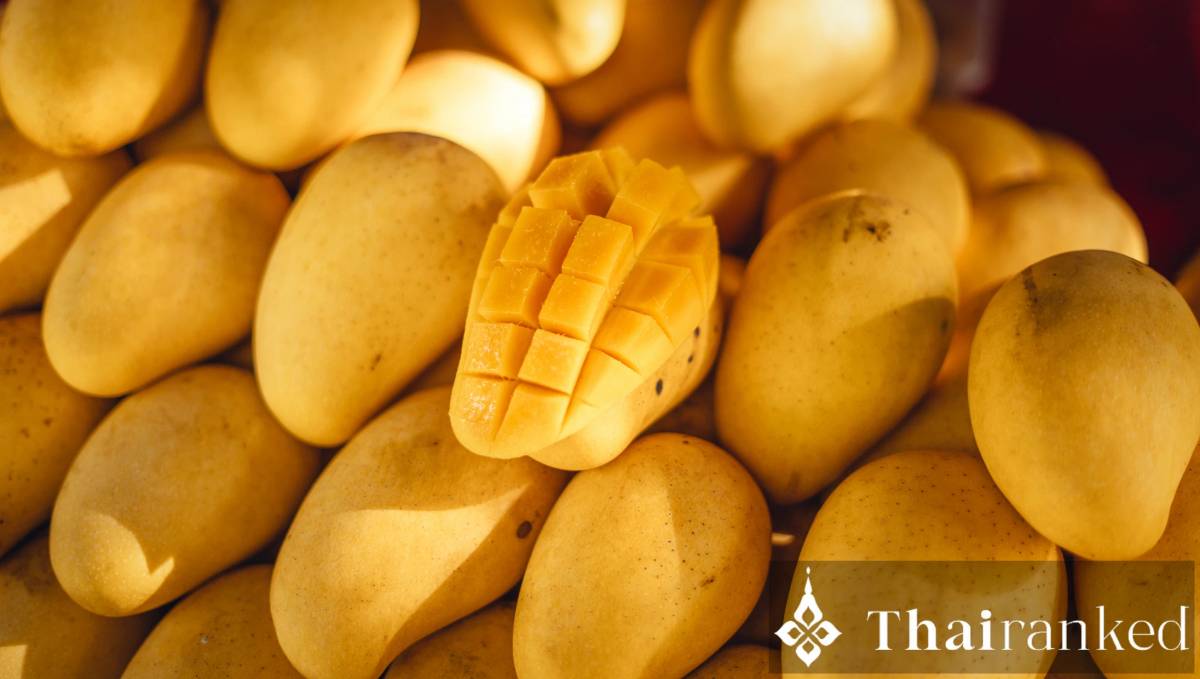Mango (Nam Dok Mai, Ok Rong)