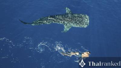 Similan Islands (Elephant Head & Beyond)