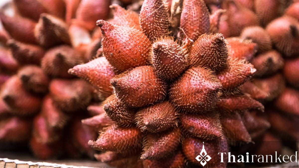 Salak (Snake Fruit)