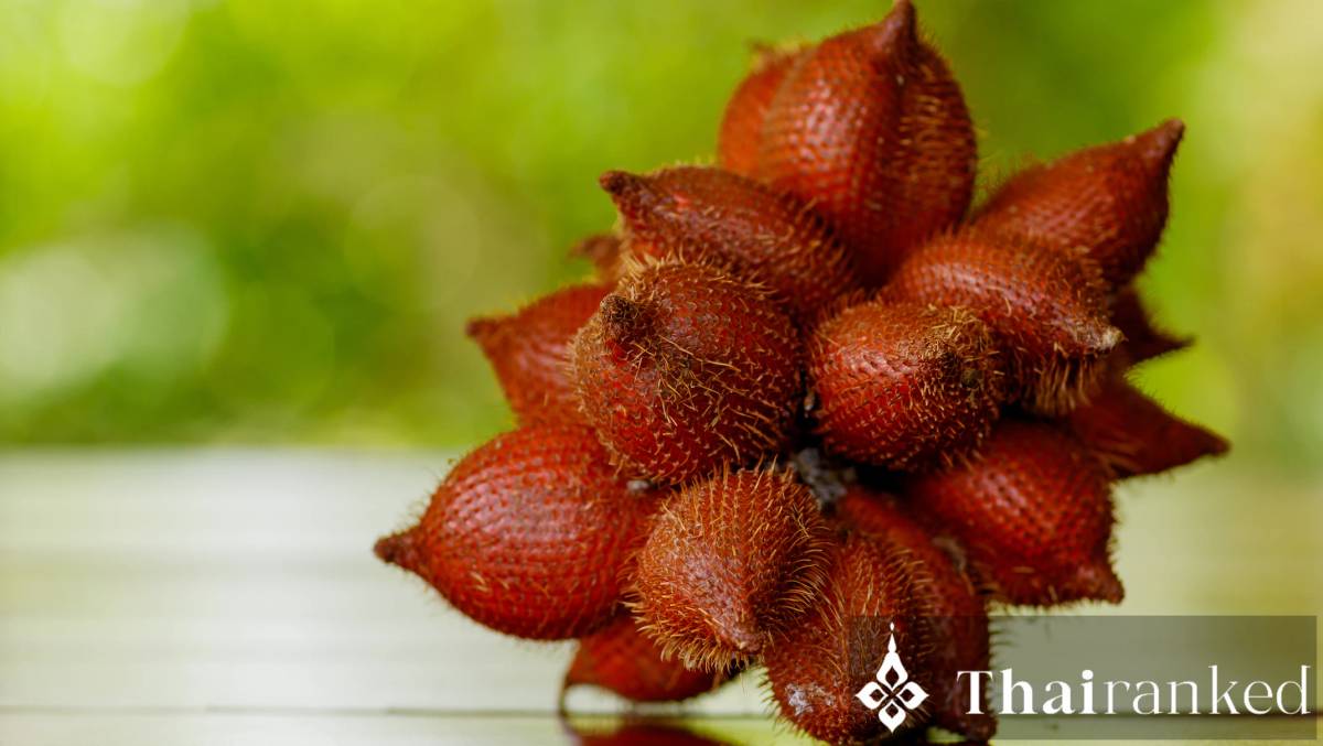 Sala or Salak (Sala Sumalee)
