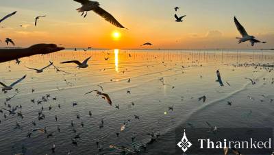 Bang Pu Seaside Park