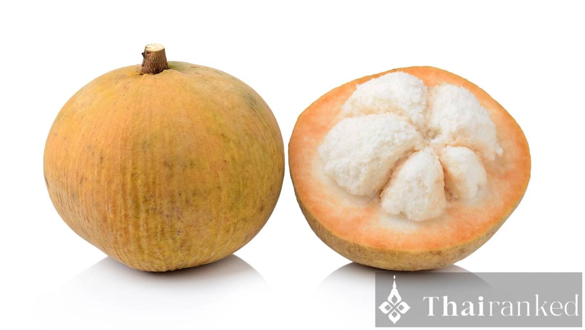 Santol (Krathon)
