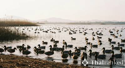 Chiang Saen Lake (Nong Han)