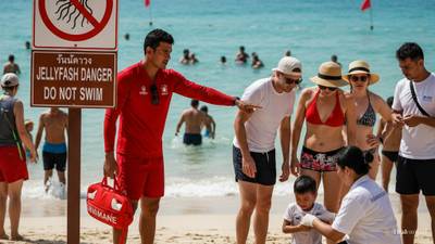 Phuket Jellyfish Warning: Thailand Beach Safety Tips